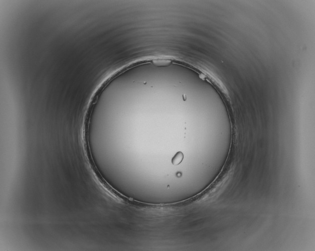 X0000111930797200908101141