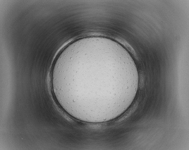 X0000111930798200908101141