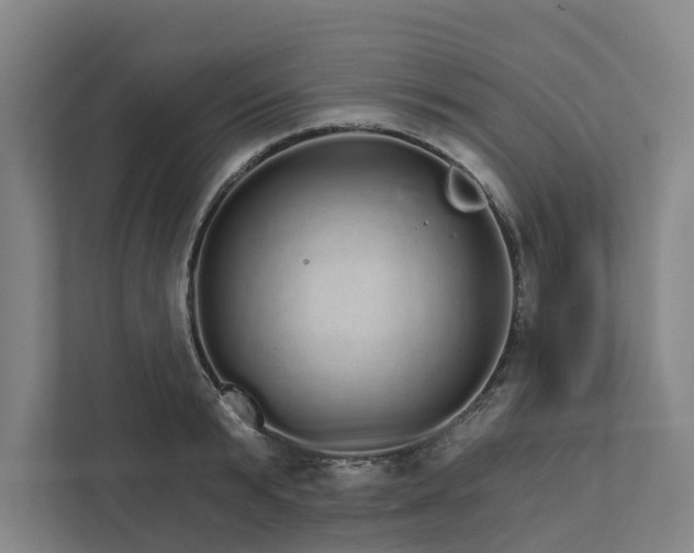 X0000111930799200908101141