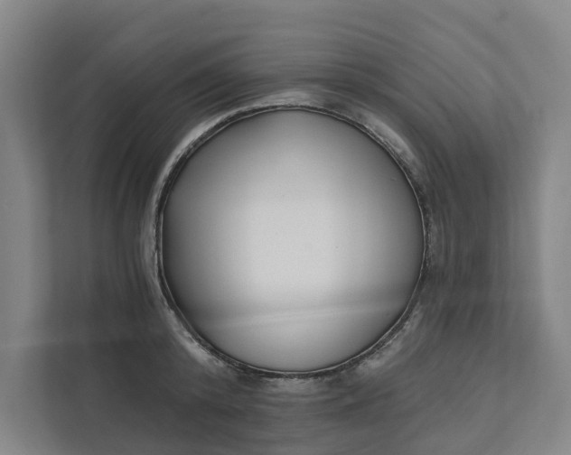 X0000111930800200908101141