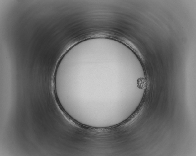 X0000111930802200908101141