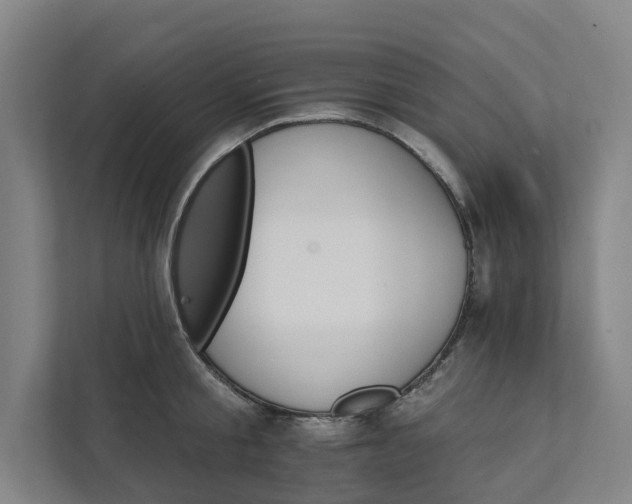 X0000111930805200908101140