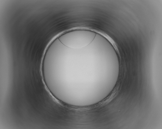 X0000111930807200908101140