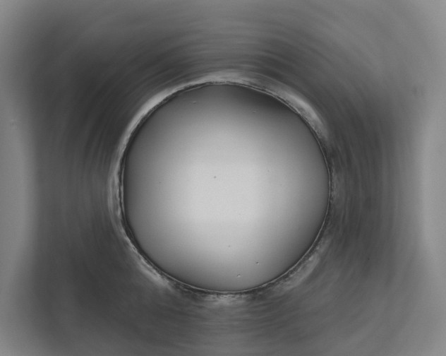 X0000111930808200908101140