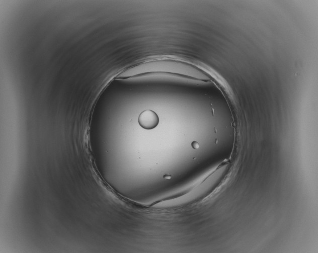 X0000111930809200908101140