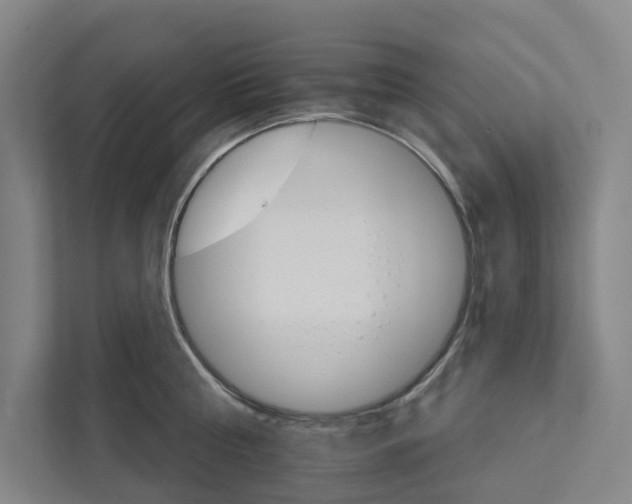 X0000111930810200908101140