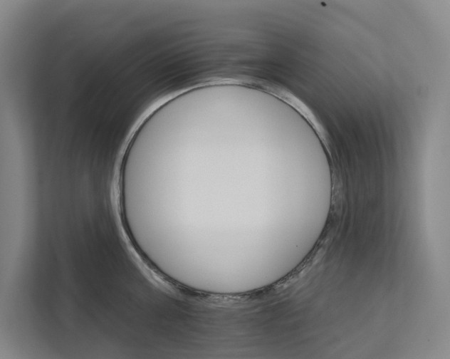 X0000111930811200908101140