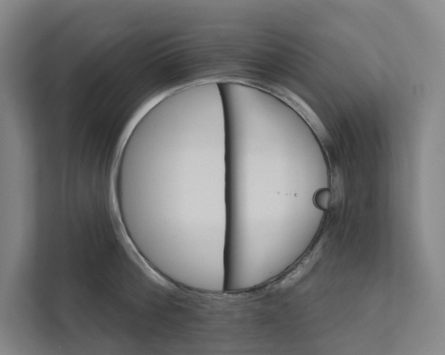 X0000111930812200908101140