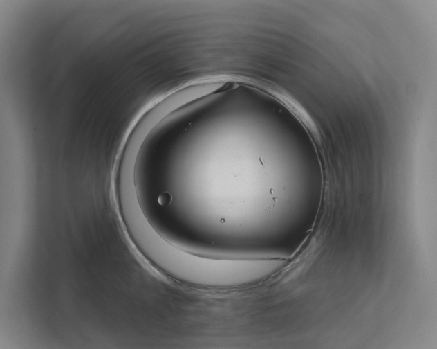 X0000111930813200908101140