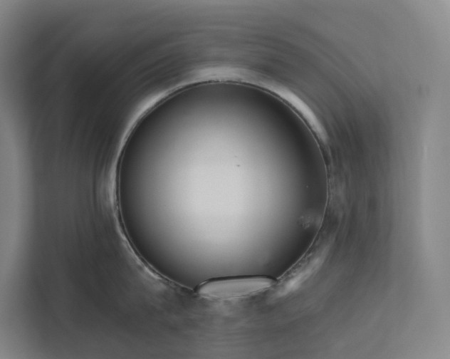 X0000111930815200908101140