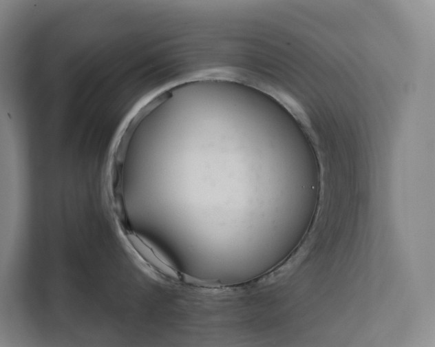 X0000111930816200908101140