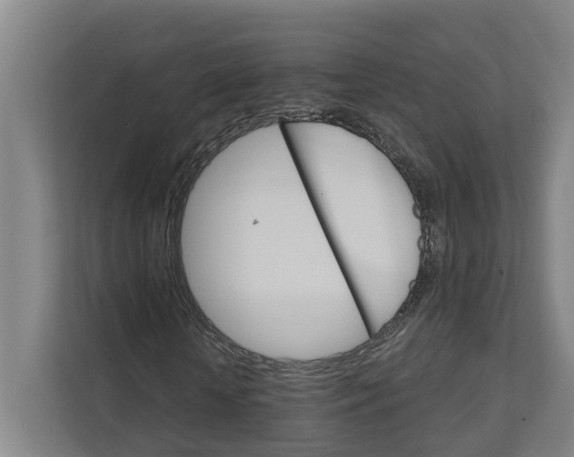 X0000111930818200908101140