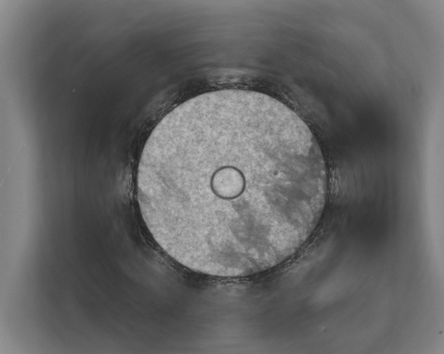 X0000111930820200908101140