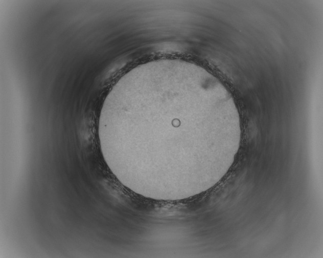 X0000111930824200908101140