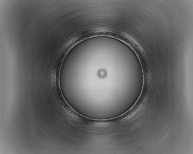 X0000111930825200908101140