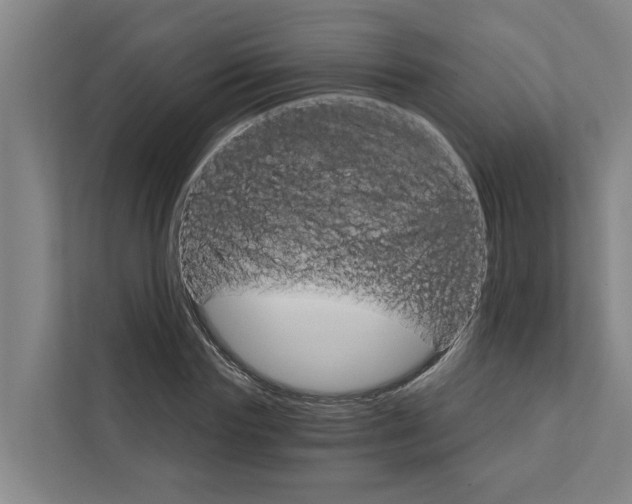 X0000111930827200908101140