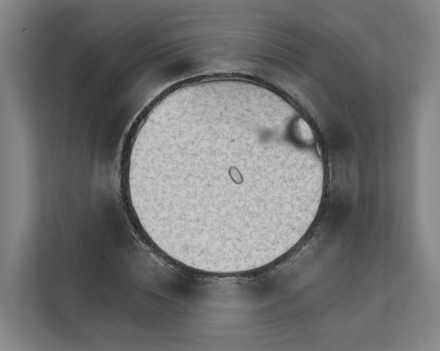 X0000111930828200908101140