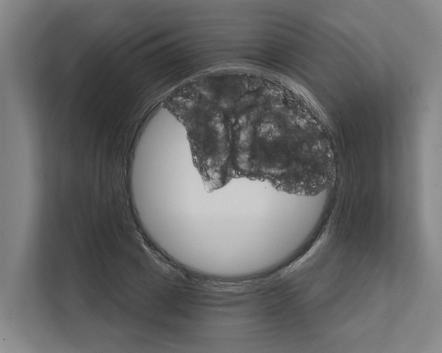 X0000111930833200908101140