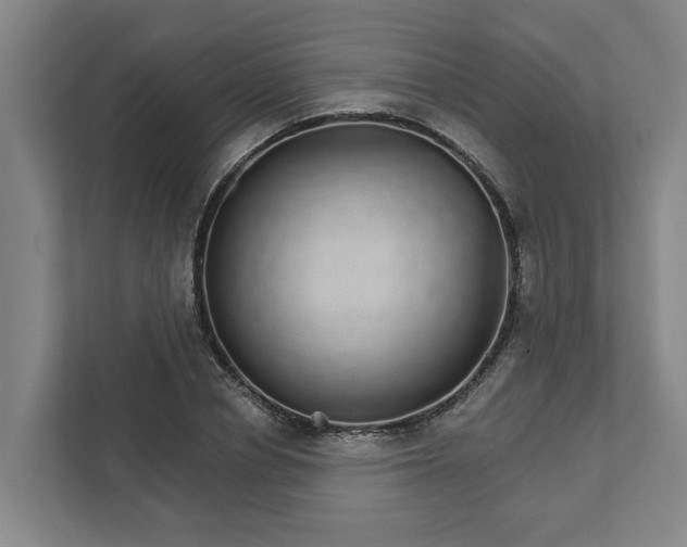 X0000111930834200908101140