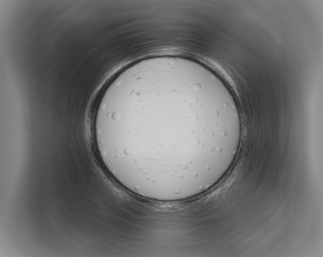 X0000111930835200908101140