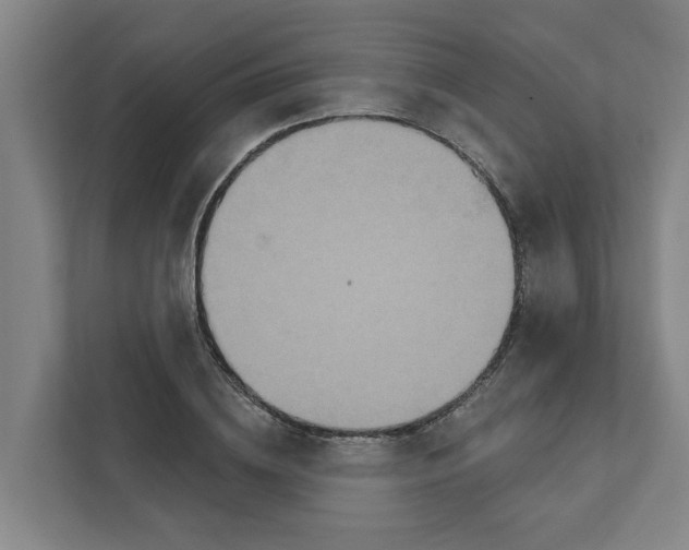 X0000111930836200908101140