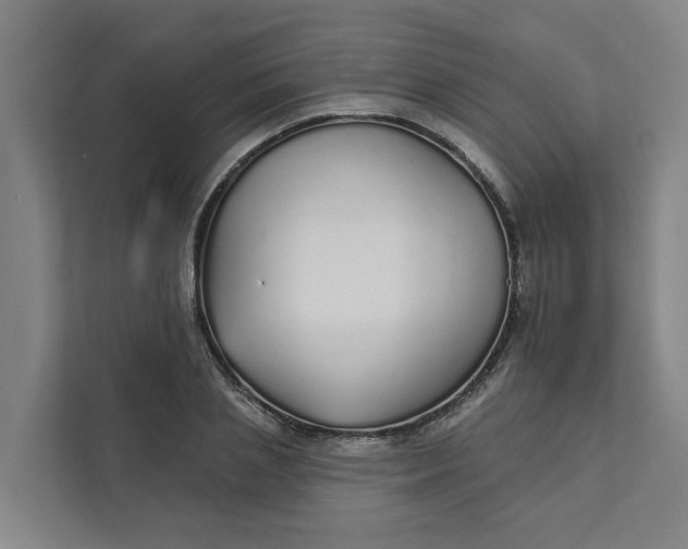 X0000111930837200908101140