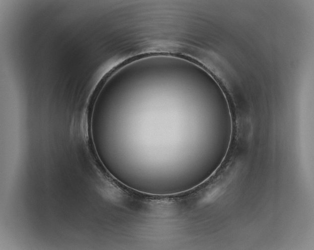 X0000111930838200908101140