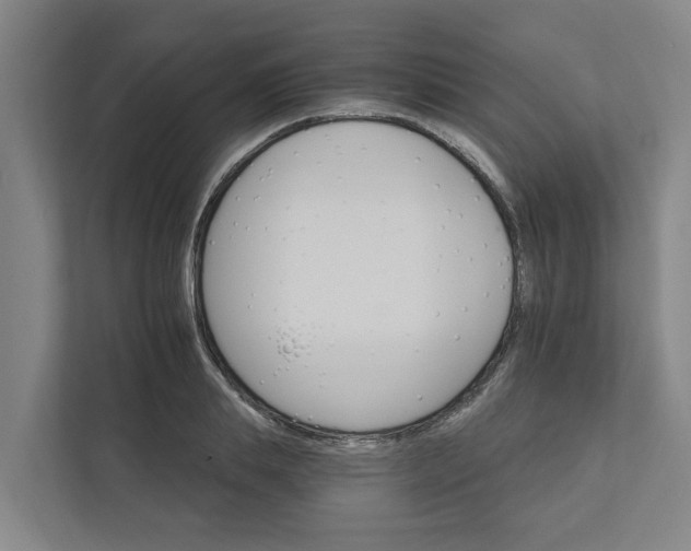 X0000111930839200908101140