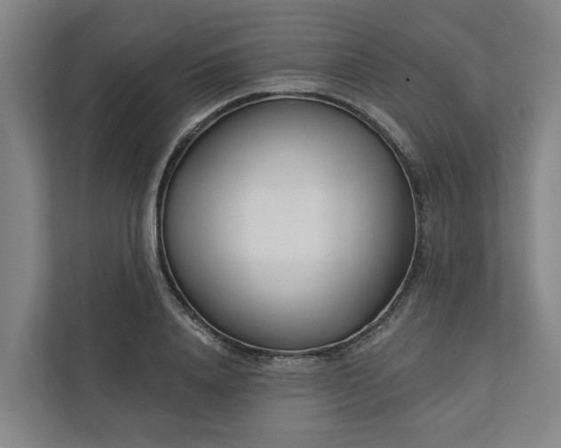 X0000111930840200908101140