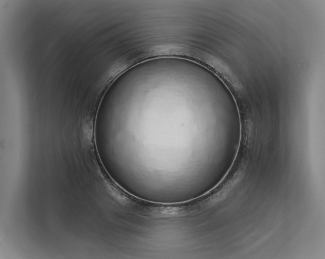 X0000111930841200908101140