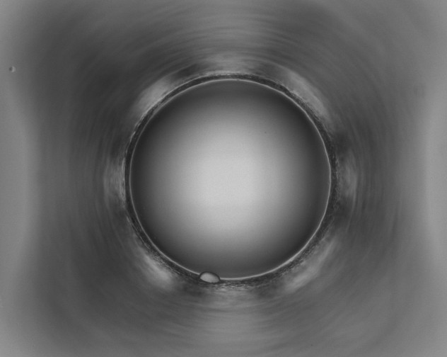 X0000111930842200908101140