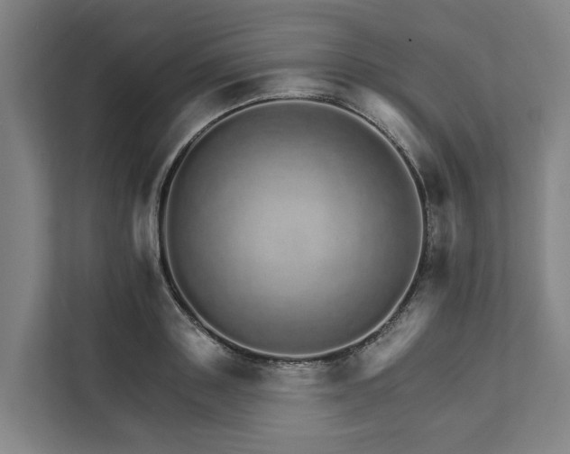 X0000111930843200908101140