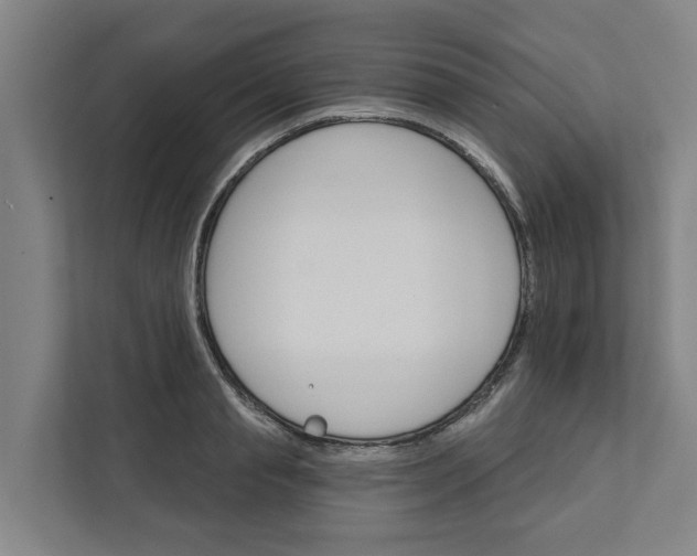 X0000111930845200908101140