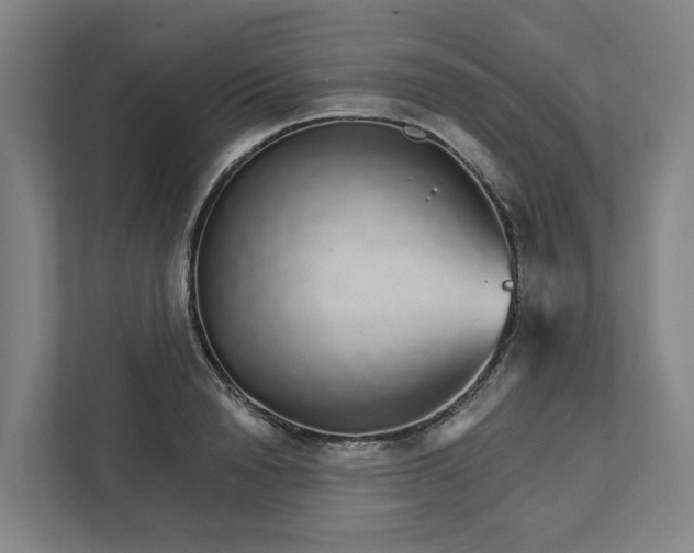 X0000111930846200908101140