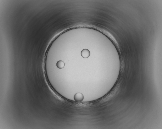 X0000111930847200908101140