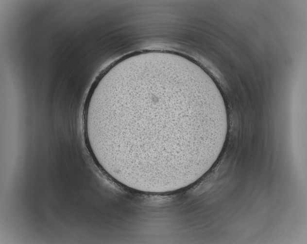 X0000111930848200908101140