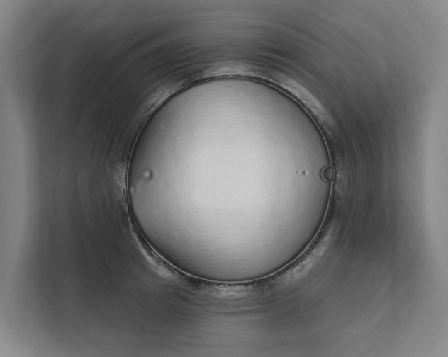 X0000111930849200908101140