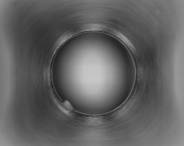 X0000111930850200908101140