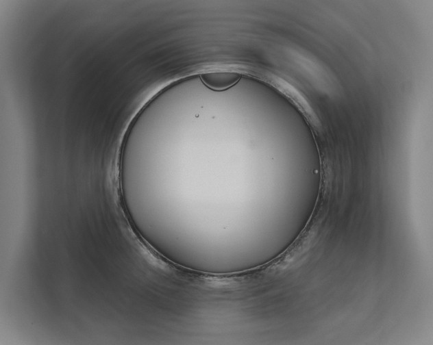 X0000111930852200908101140