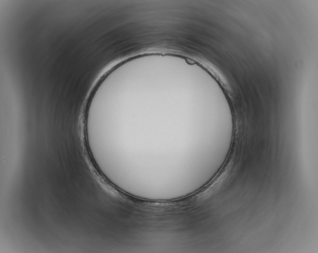 X0000111930854200908101140