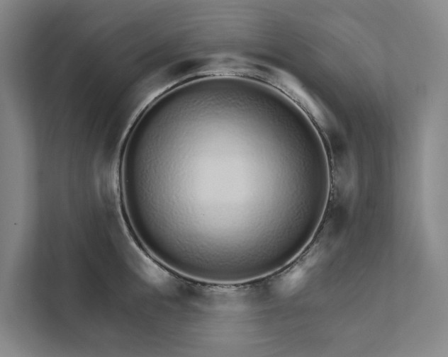 X0000111930855200908101140