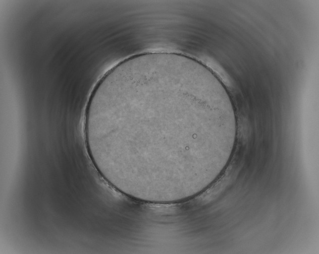 X0000111930856200908101140