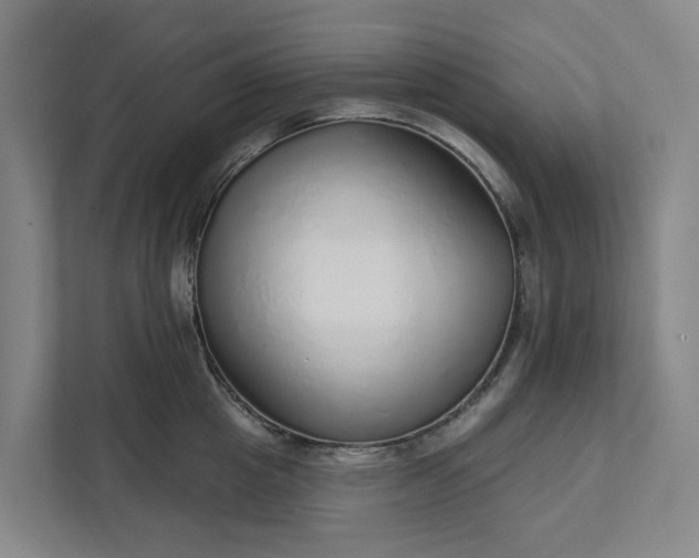 X0000111930857200908101140