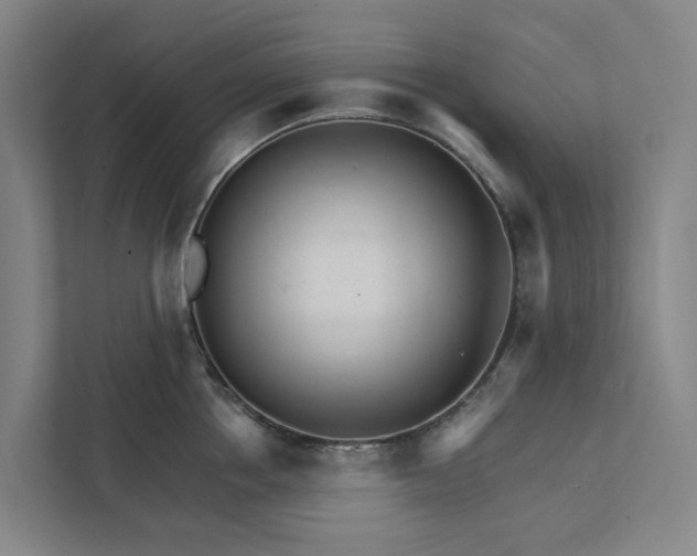 X0000111930858200908101140