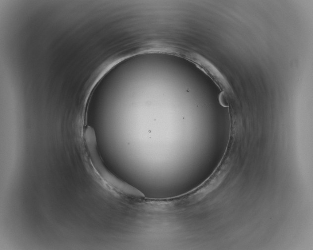 X0000111930860200908101140