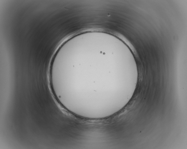 X0000111930861200908101140