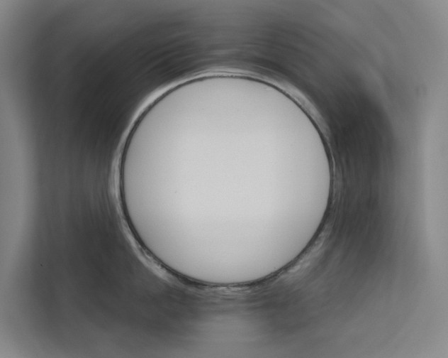 X0000111930862200908101140