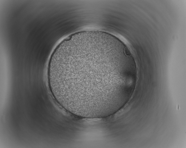 X0000111930864200908101140