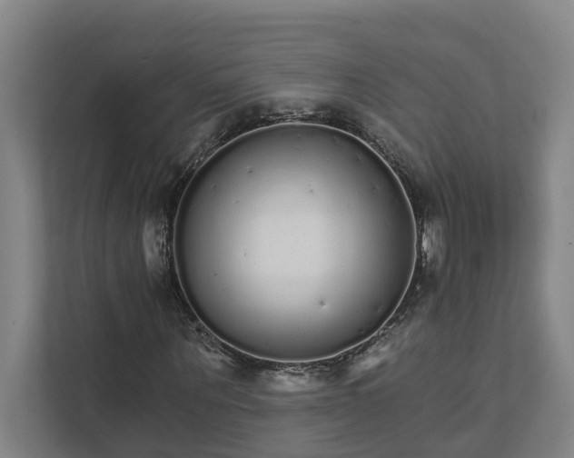 X0000111930867200908101140