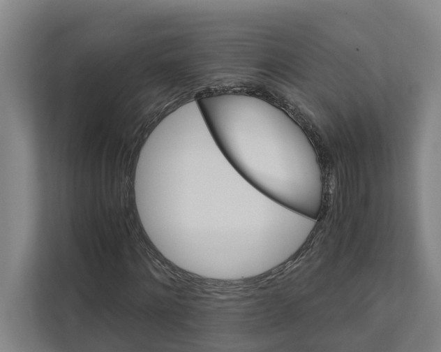 X0000111930868200908101140